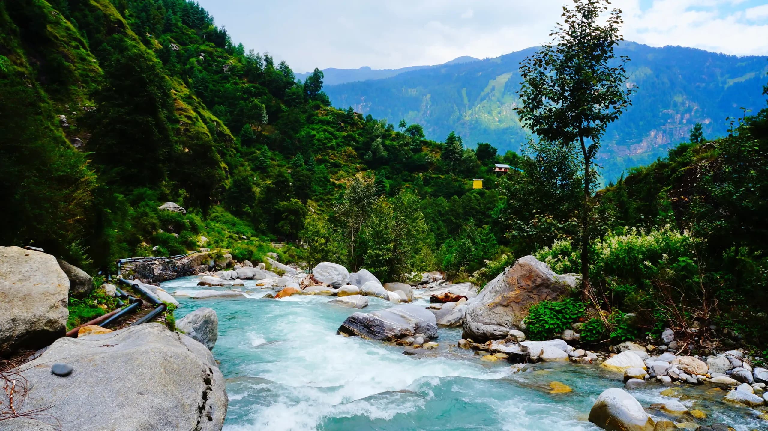 Himachal