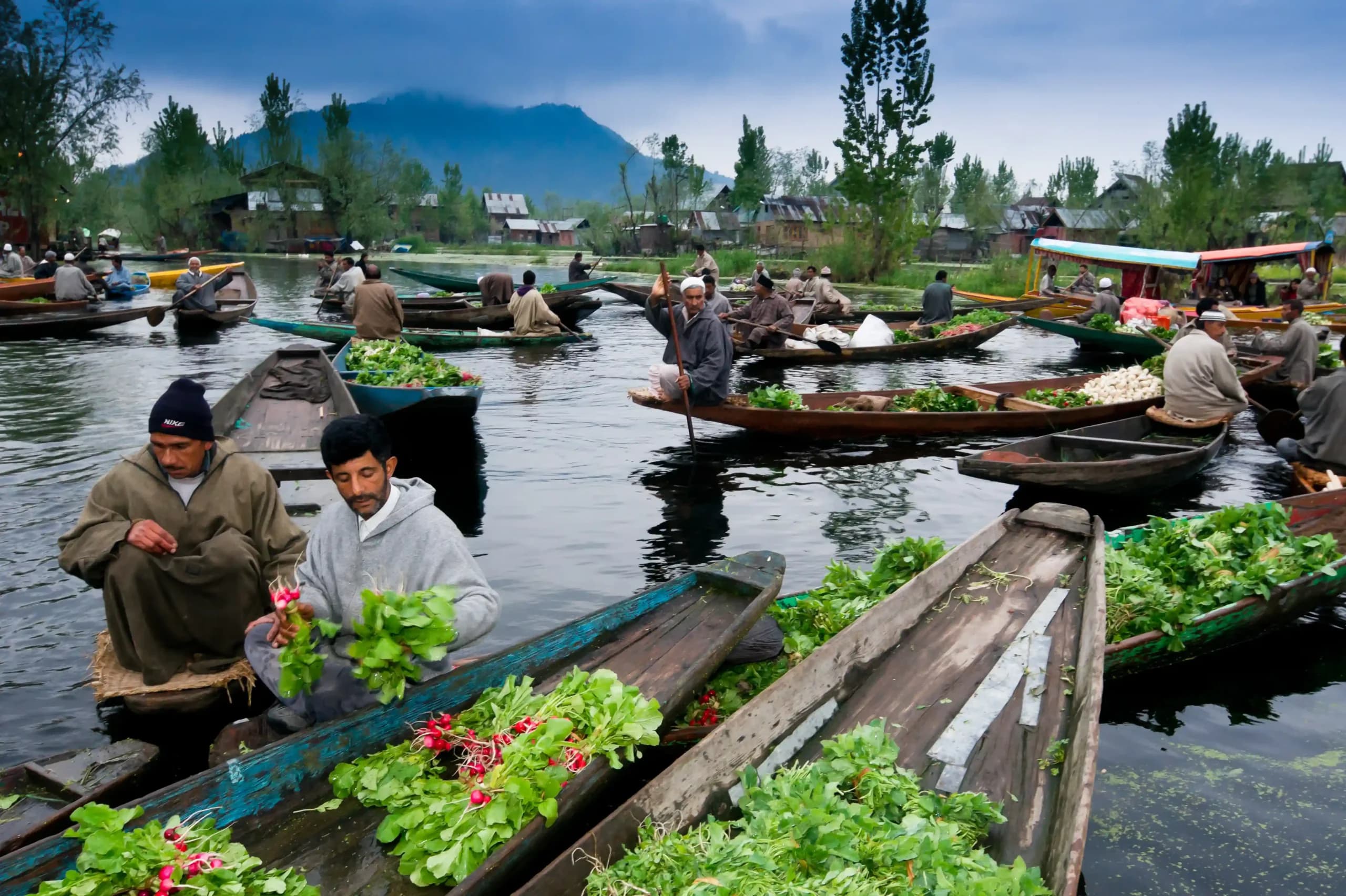 Kashmir